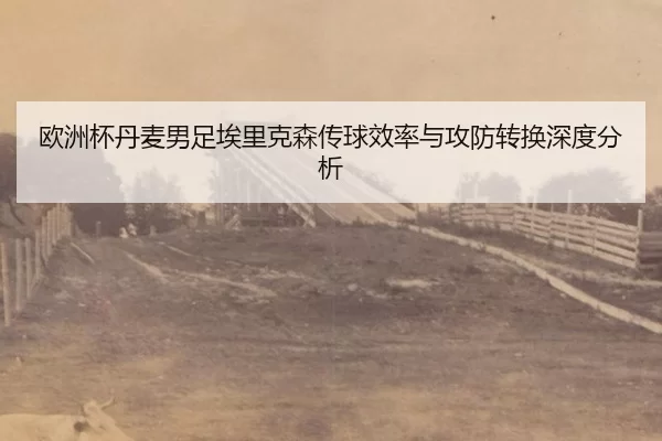 欧洲杯丹麦男足埃里克森传球效率与攻防转换深度分析